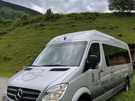 mys-Ortsbus Disentis-Ortsbus Disentis Ortsbus Disentis