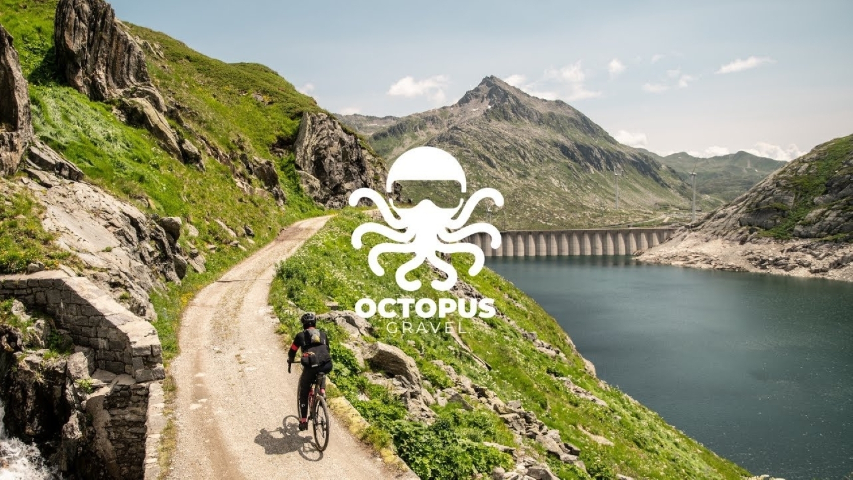 Octopus Gravel