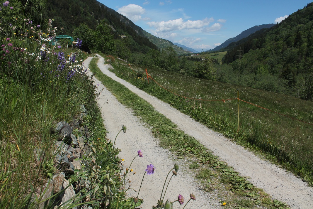 Familienwanderung  Disentis - Cumpadials