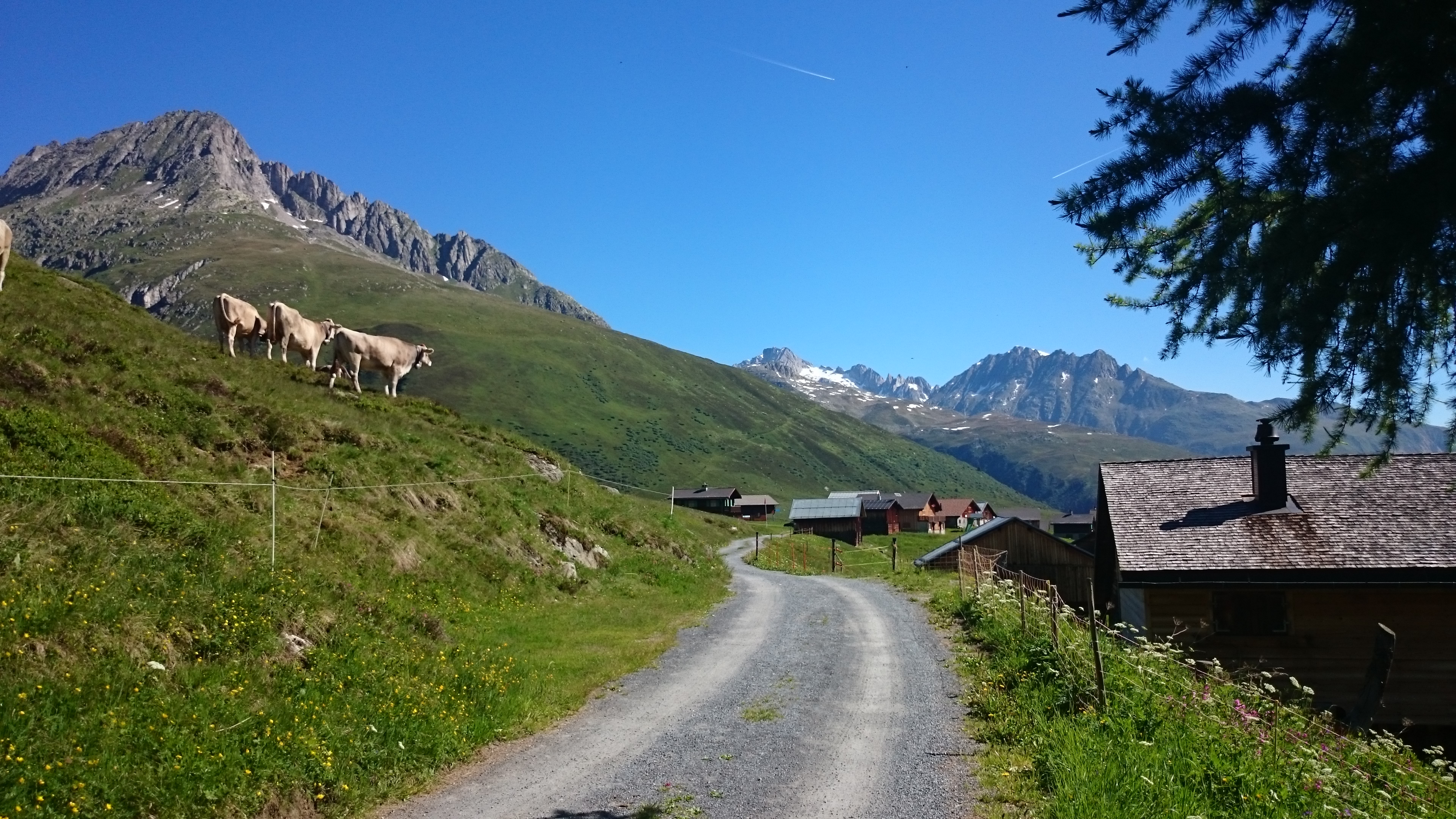 Oberalp - Sedrun - parcours