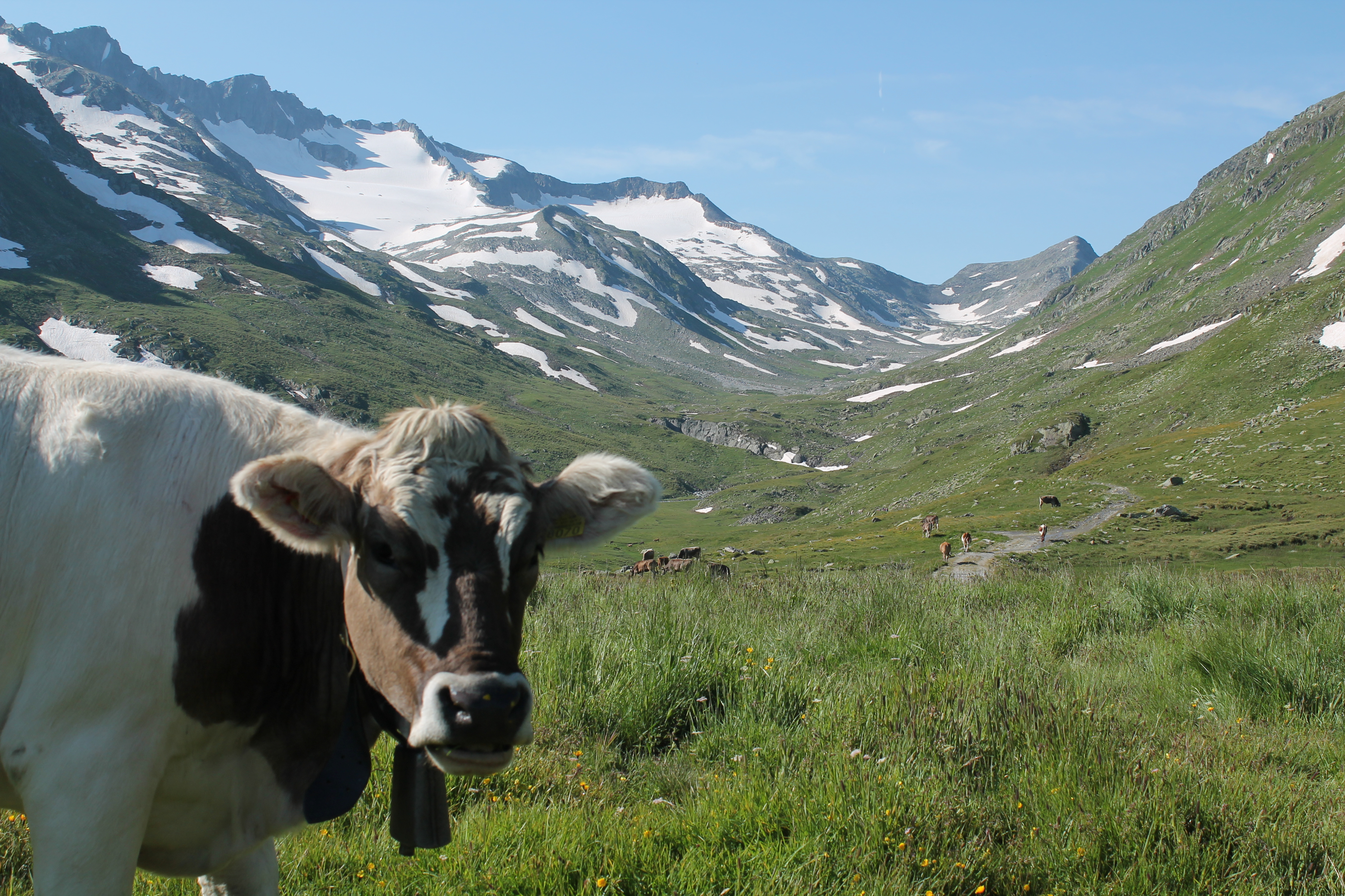 Randonnée de 2 jours T5, par chemin de crête jusqu'à la Capanna Cadlimo