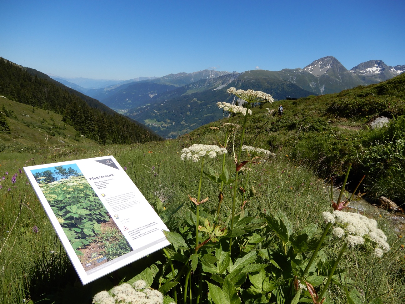 Kräuterwanderung