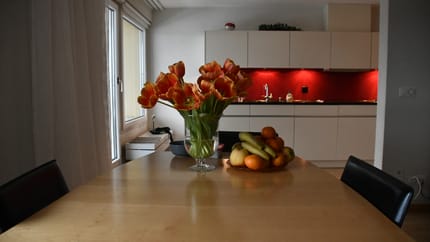 mys-Appartamento Schaap-Müller-Ferienwohnung Schaap-Müller