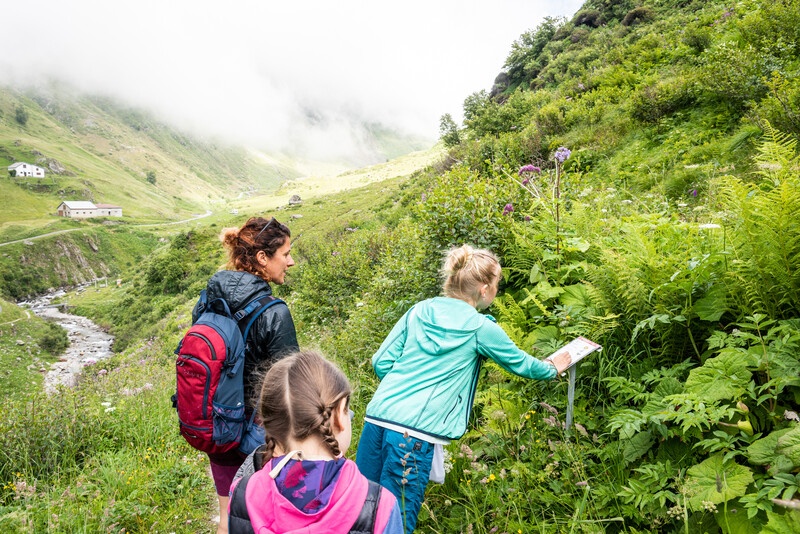 Herbal Nature Trail, Unteralp Loop Trail along the Mur River
