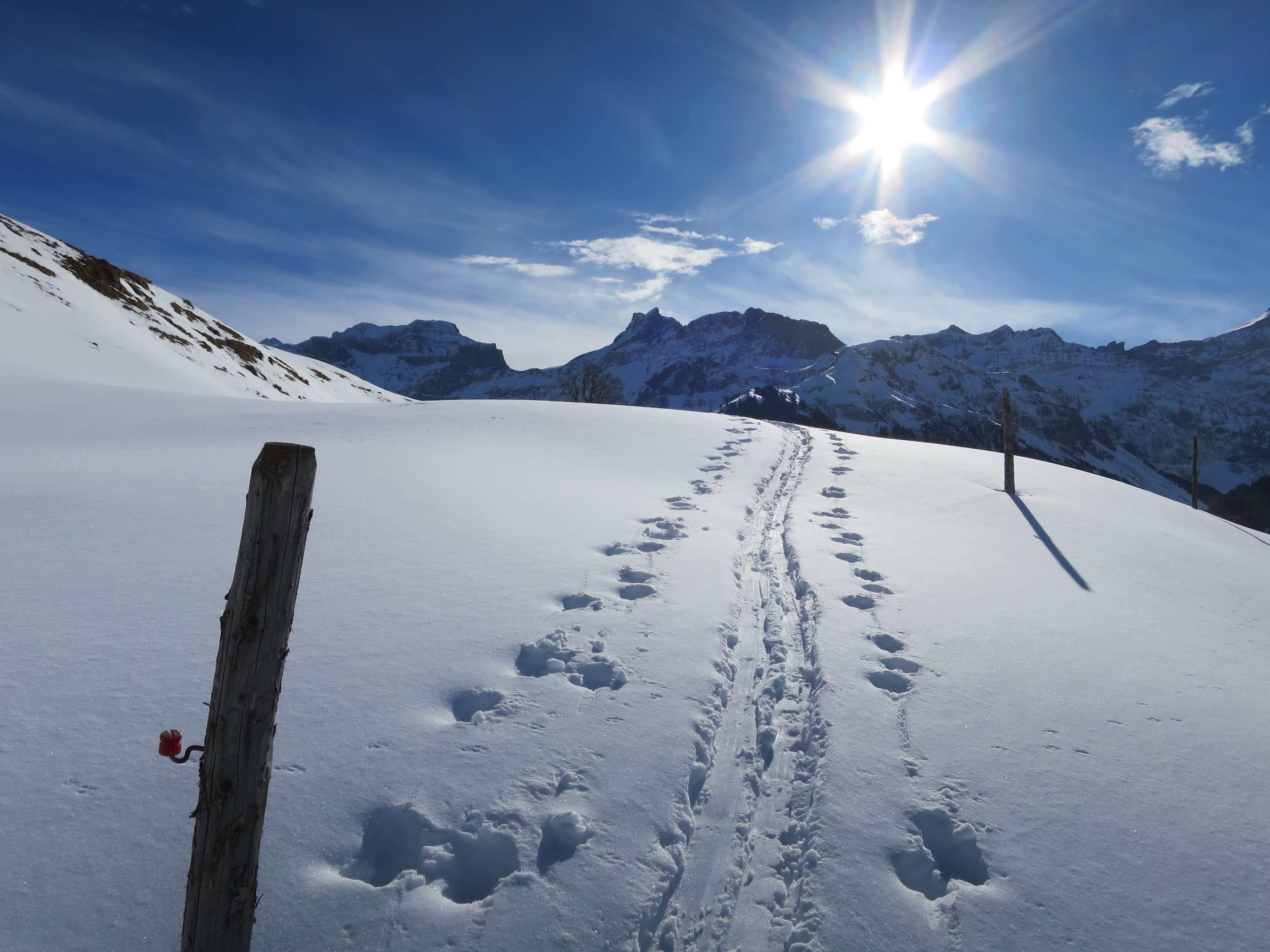 2-Tägige Schneeschuhtour im Furka-Gebiet