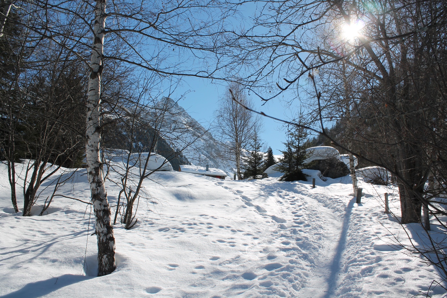 Biscuolm Trail, Rundtour
