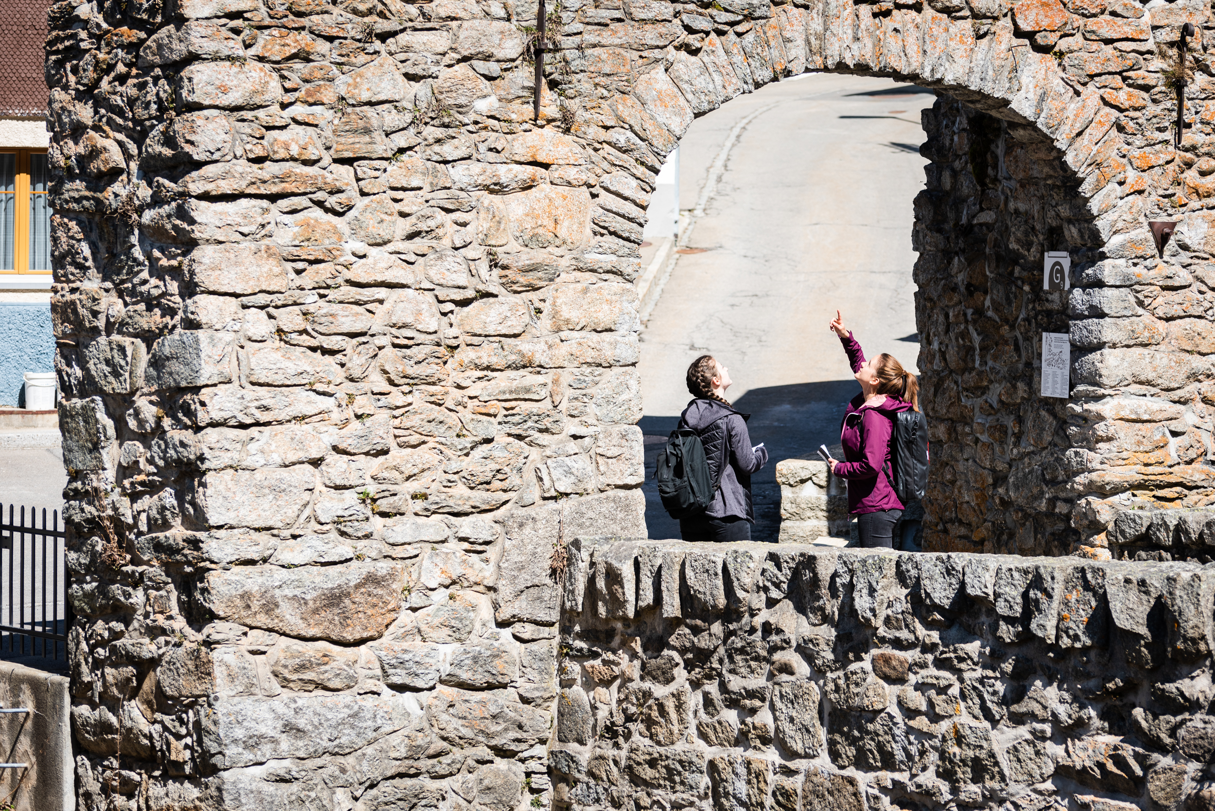 mys-Ponte doganale-Zollbrücke
