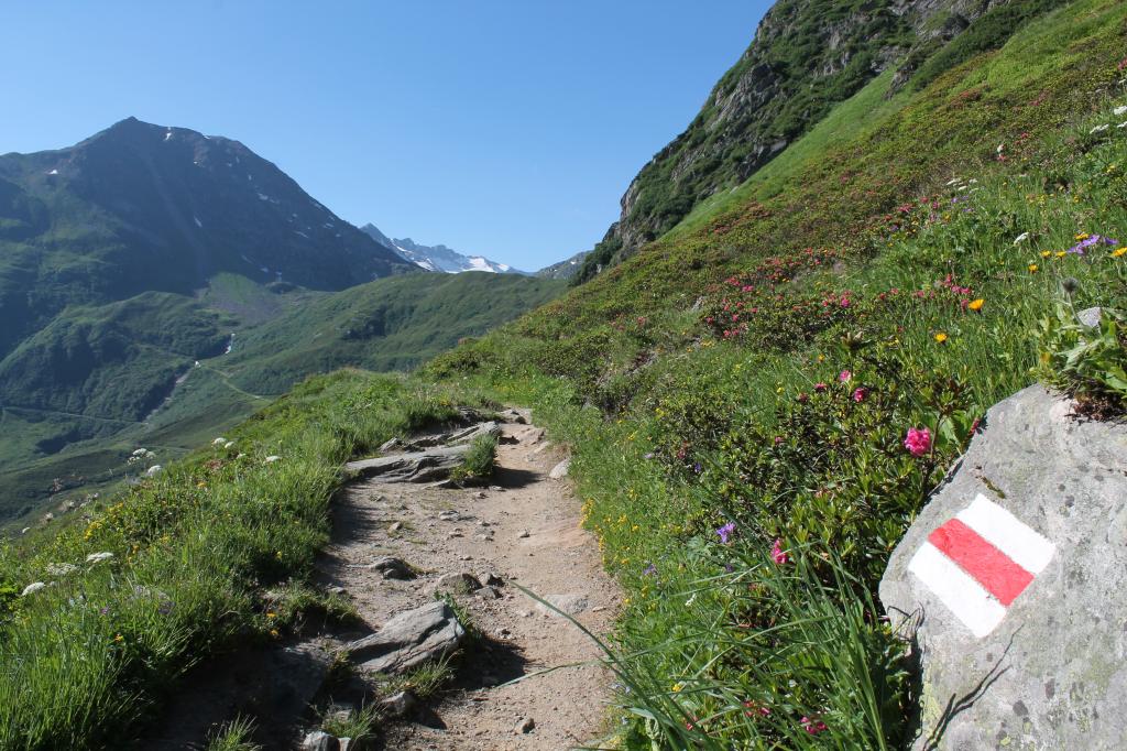 Lolenpass -  Trail