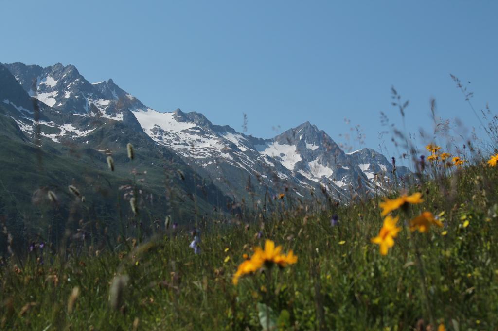 Höhenwanderung Tgom - Nalps - Cuolm Cavorgia