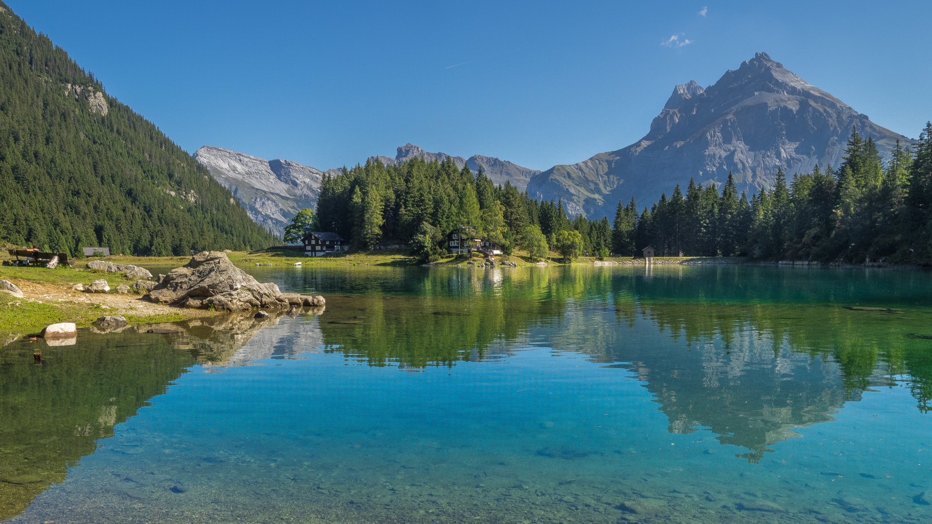 Alpenrosen am Arnisee