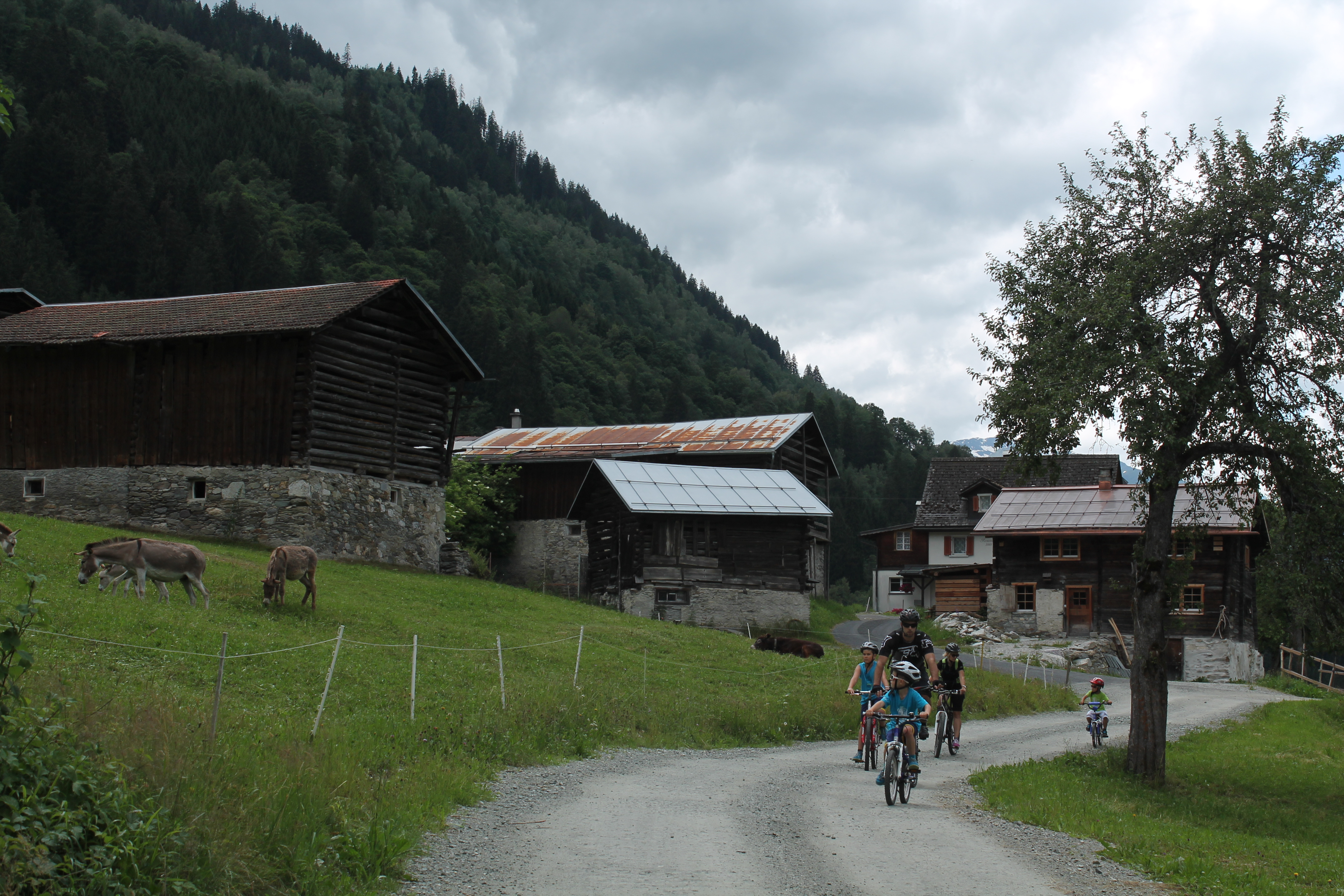 MTB Family:  Disentis – Trun