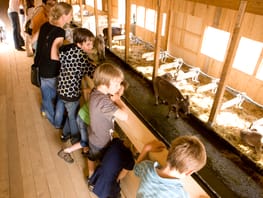 mys-Klosterhof Salaplauna-Klosterhof Salaplauna Klosterhof Salaplauna