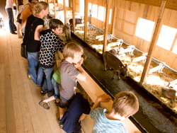 mys-Klosterhof Salaplauna-Klosterhof Salaplauna