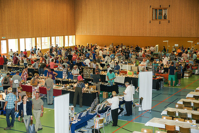 62nd Disentis Mineral Show / 62avla buorsa da cristallas