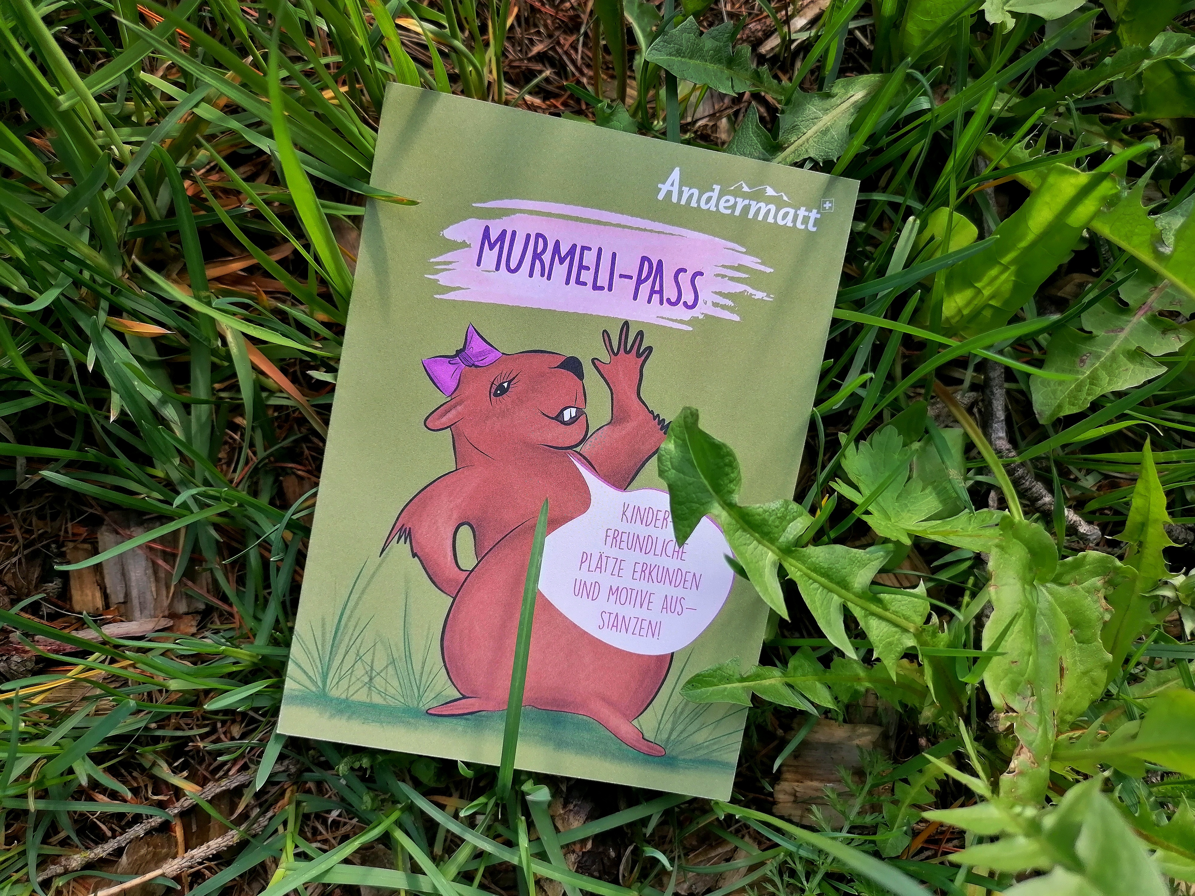 Murmeli-Pass