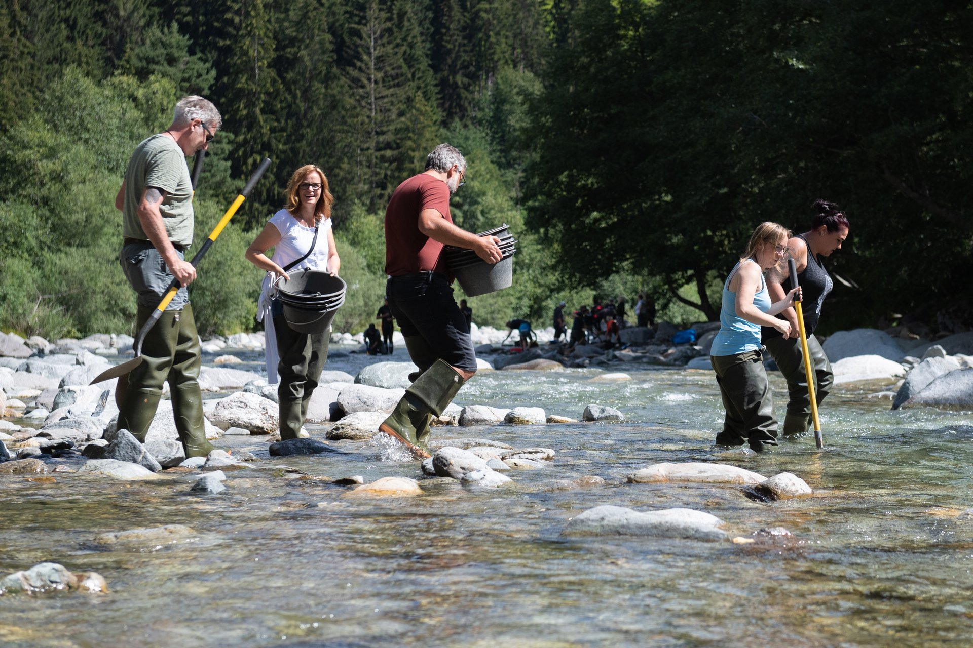 Group experiences summer