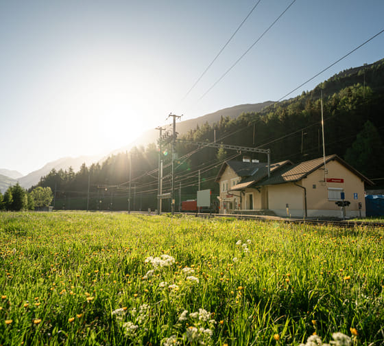 Bahnhof Hospental mit Blumenwiese im Vordergrund