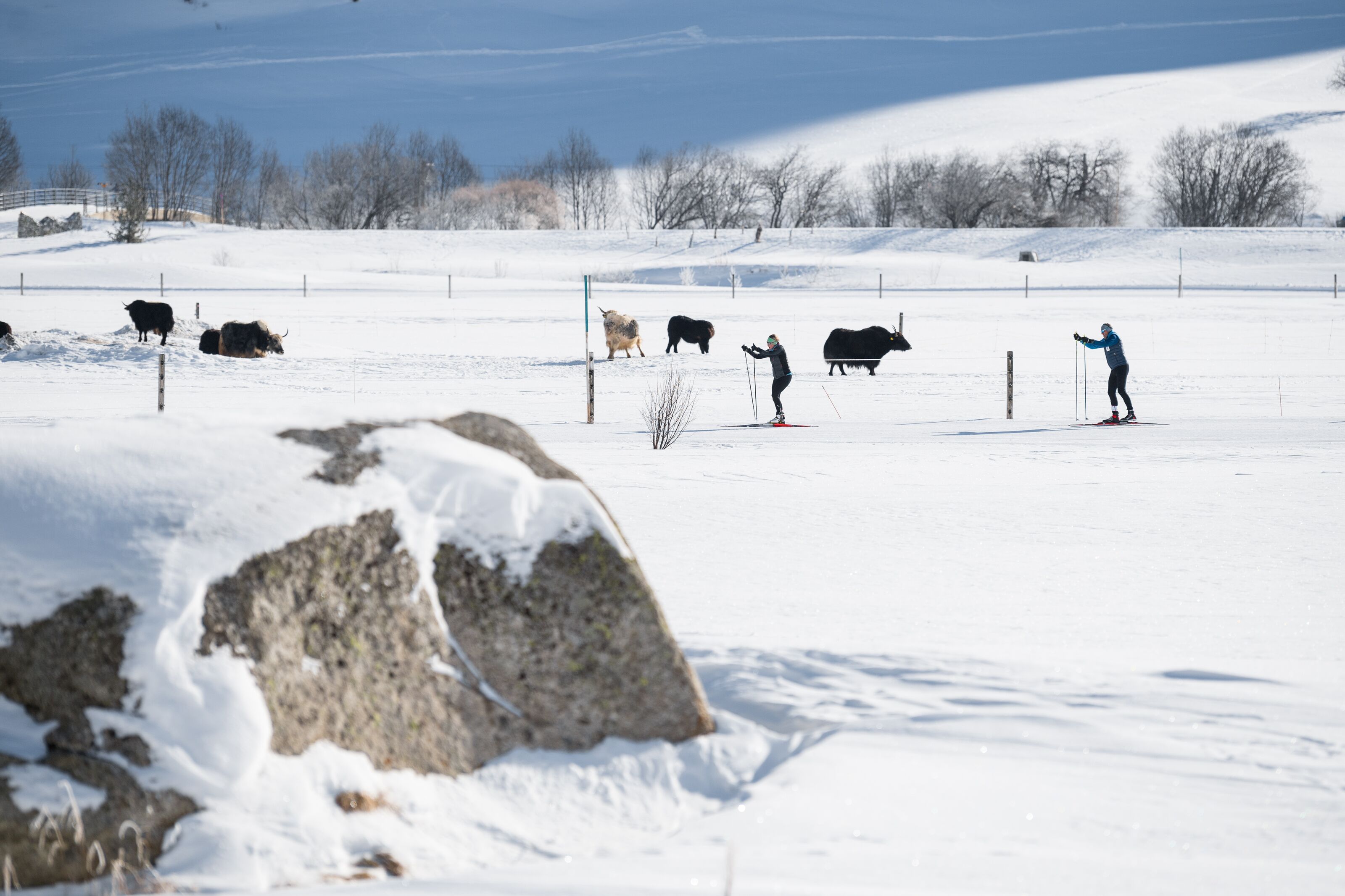 Langlaufen Andermatt