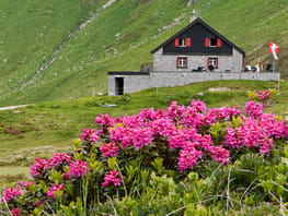 mys-Cabane Vermigel CAS-Vermigelhütte mit Alpenrosen Cabane Vermigel CAS