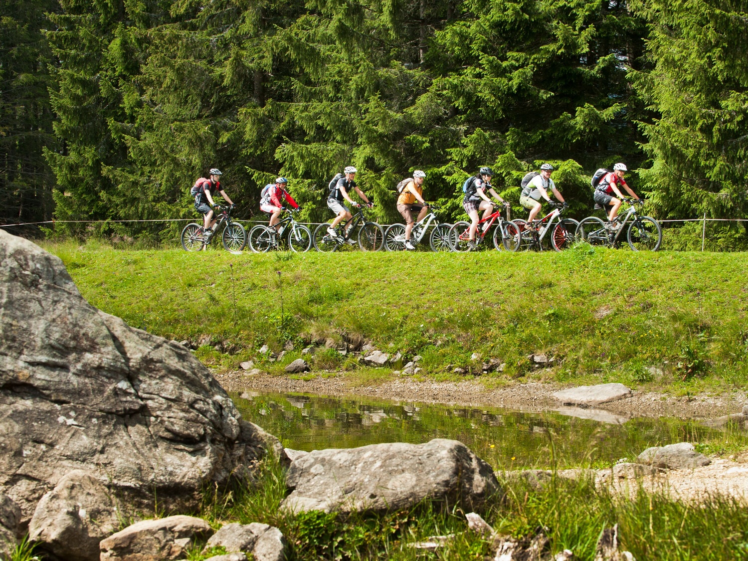 Arni Bike