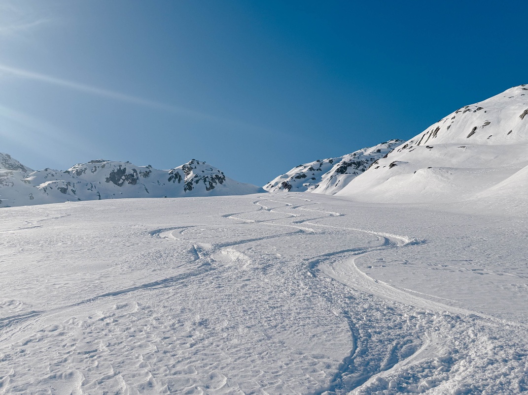 Corne d'hiver
