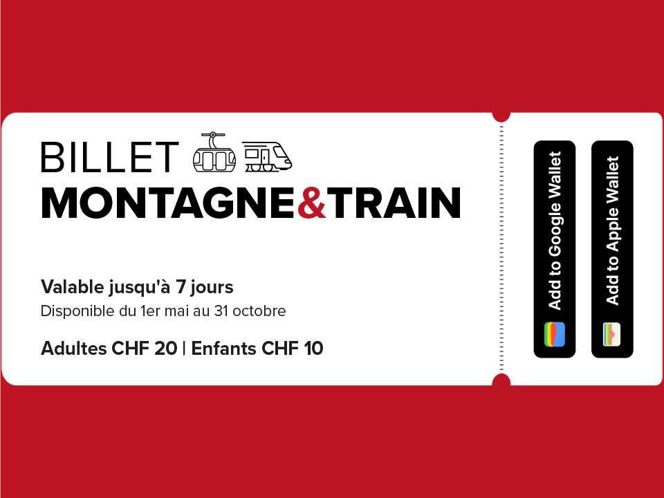 Bis zu 7 Tage mit Bergbahnen und Zug grenzenlos unterwegs sein

Das «Berg&BahnTicket» ist vom 1. Mai bis 31. Oktober erhältlich und kann ausschliesslich über die Gästekarte bezogen werden.