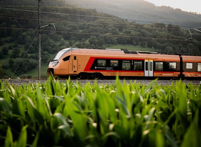 Ein moderner Zug fährt auf einem Gleis durch eine grüne Landschaft. Im Vordergrund sind unscharfe Grashalme zu sehen, während sich im Hintergrund eine bewaldete Hügellandschaft erstreckt. Oberhalb des Zuges verlaufen Oberleitungen entlang der Strecke.