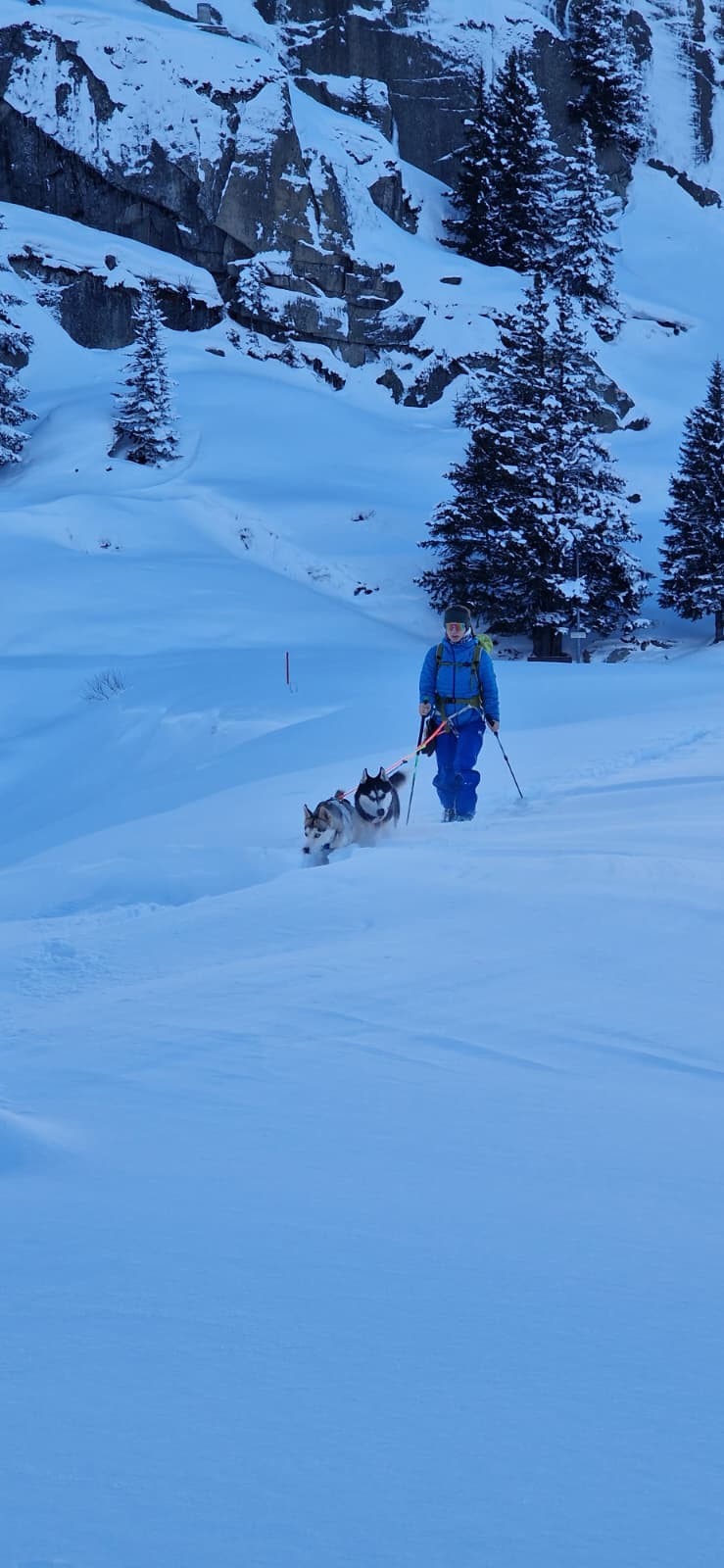 mys-Escursione con gli husky nella Göscheneralp-Göscheneralp