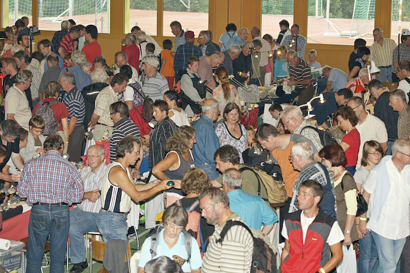 62nd Disentis Mineral Exchange / 62avla buorsa da cristallas