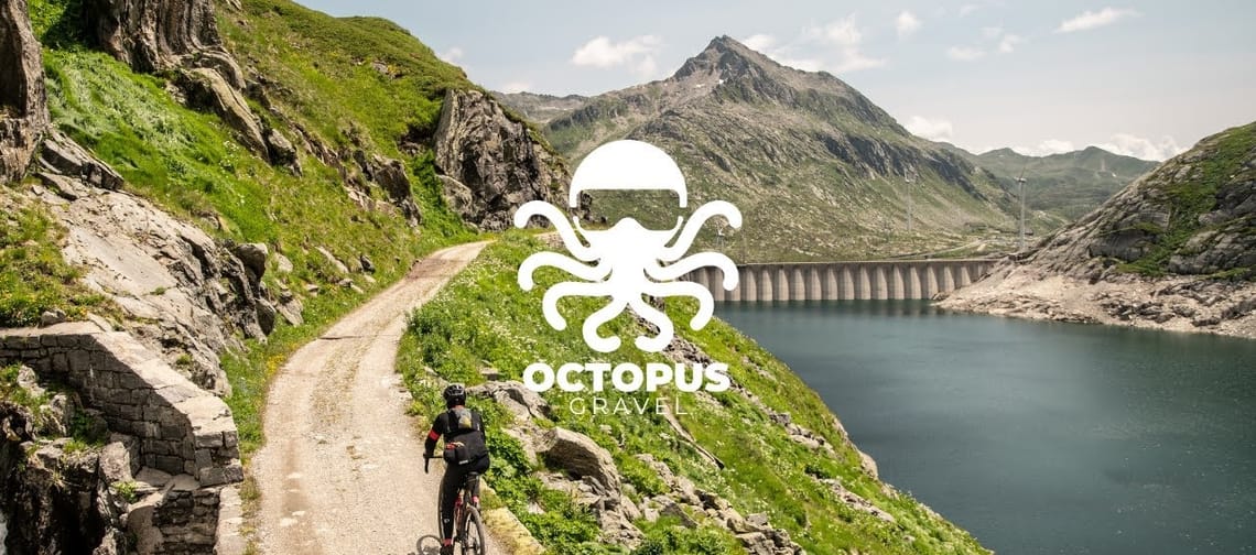 Octopus Gravel