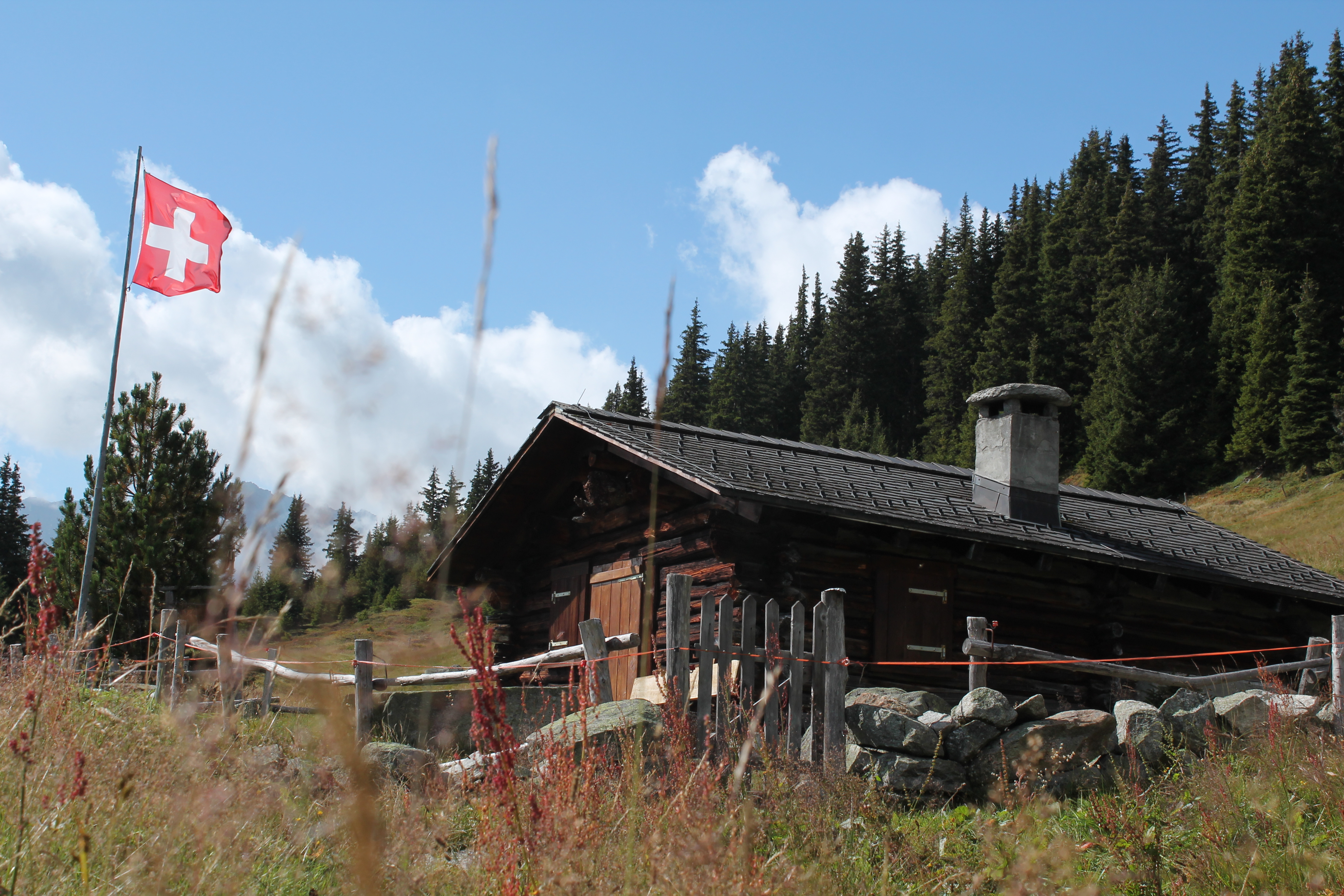 Höhenweg von Segnas nach Sedrun