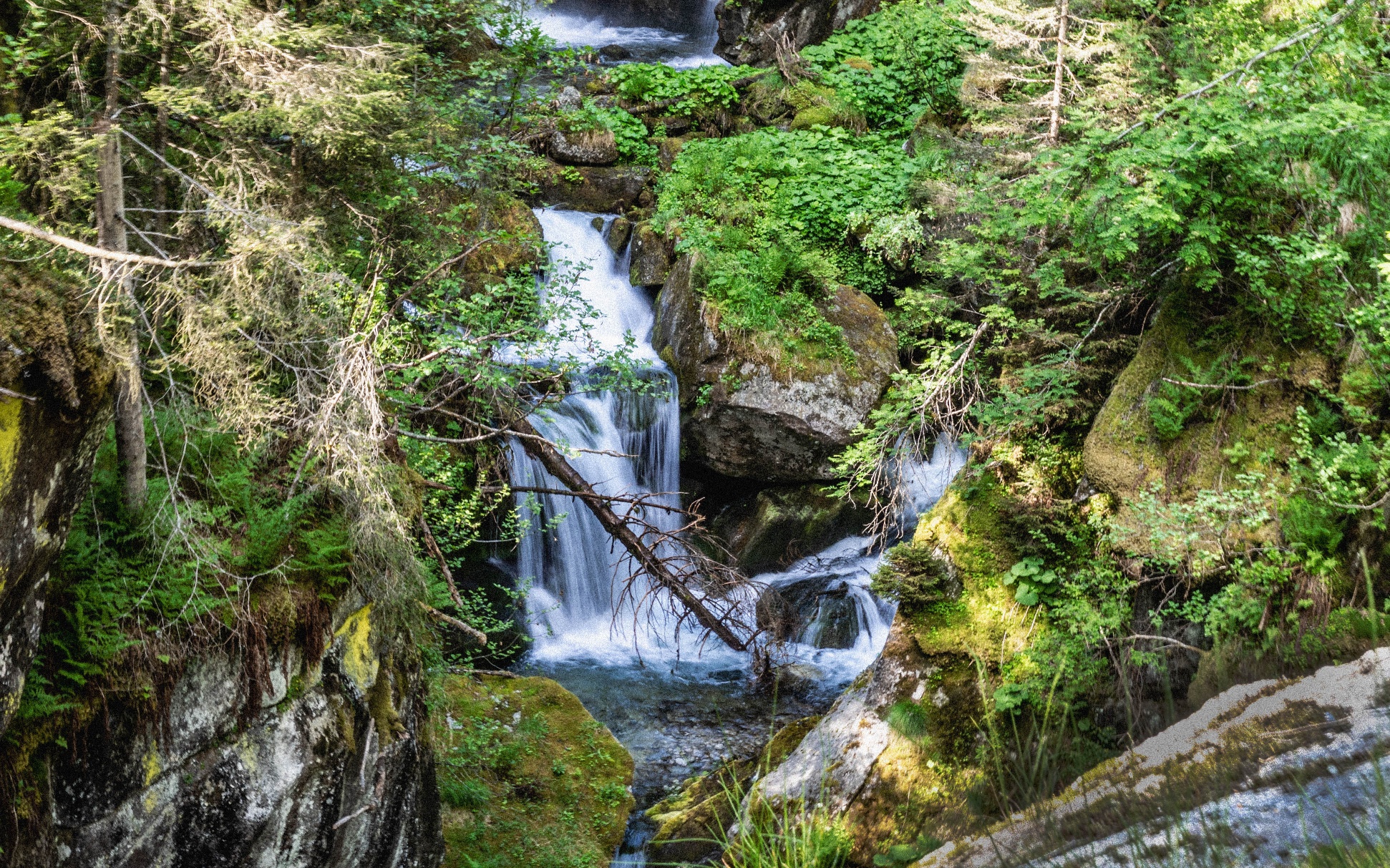 Percorso dell'acqua