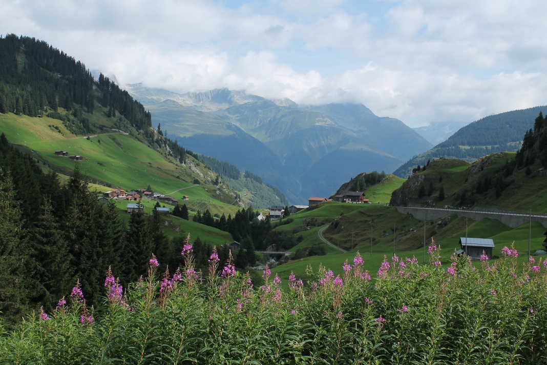 E-Bike Tour:  Disentis - Santa Maria Stausee - Disentis