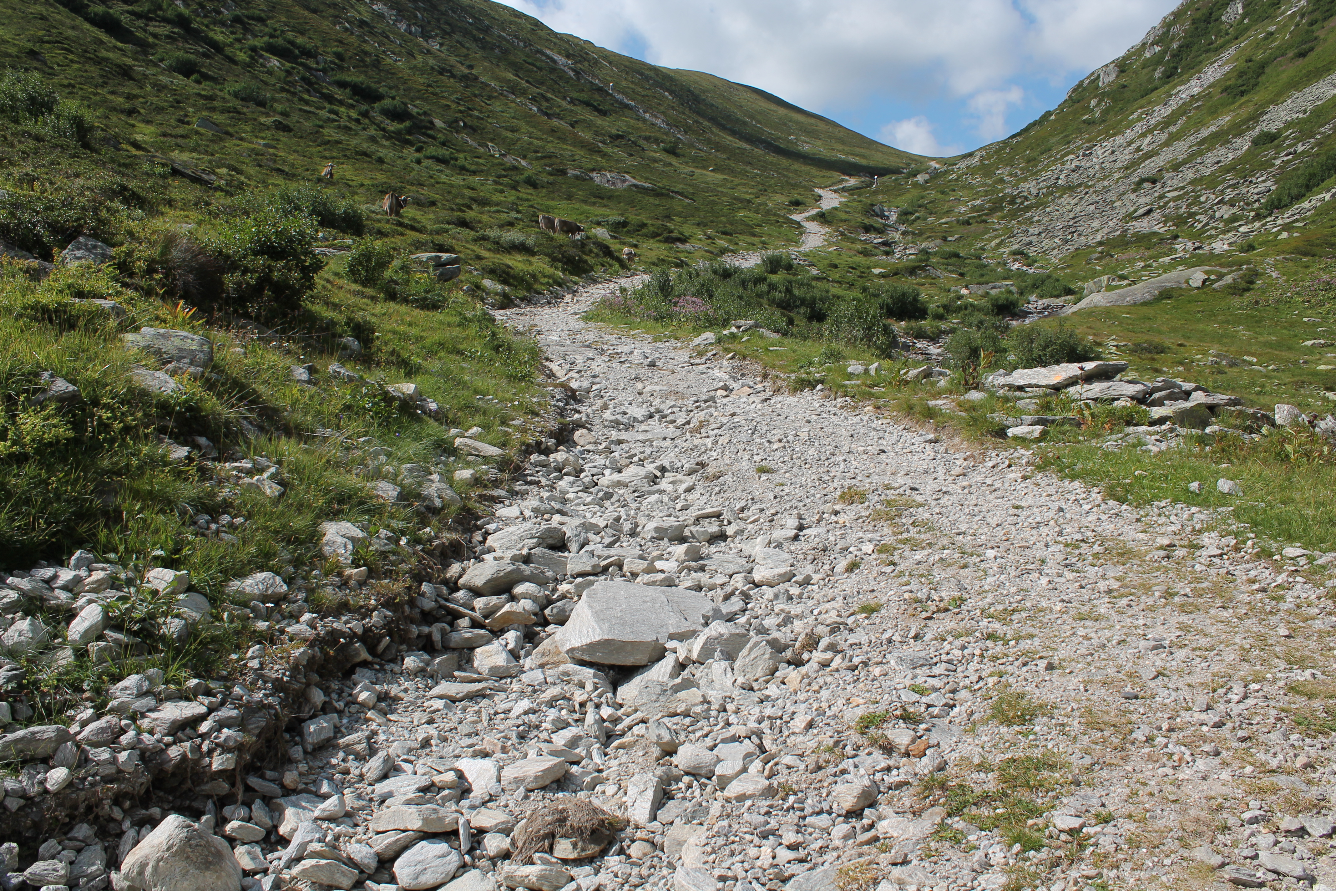 Lukmanierpass - Capanna Cadagno - Ritomsee