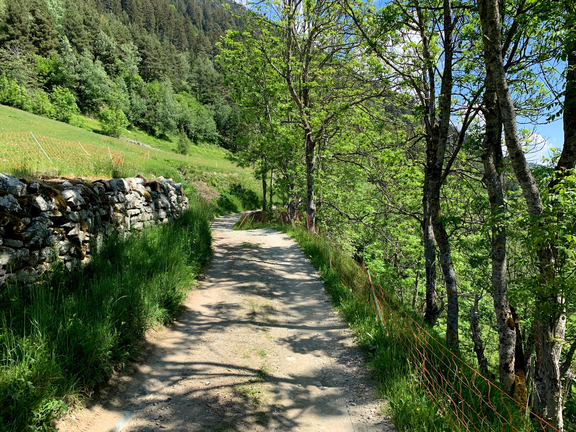 Percorso Lumpegna - Trail