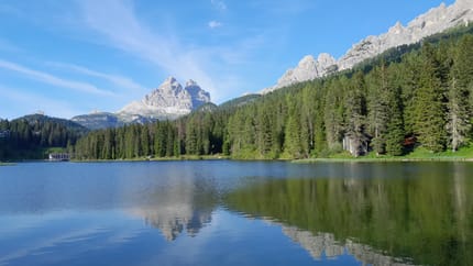 See mit Wald und Bergen im Hintergund