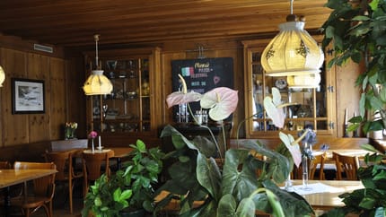mys-Gasthaus Skiklub-Gasthaus Skiklub
