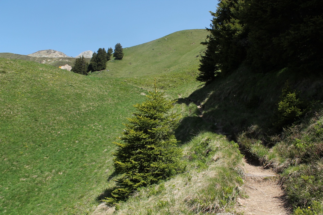 Sports in the mountains in Sedrun