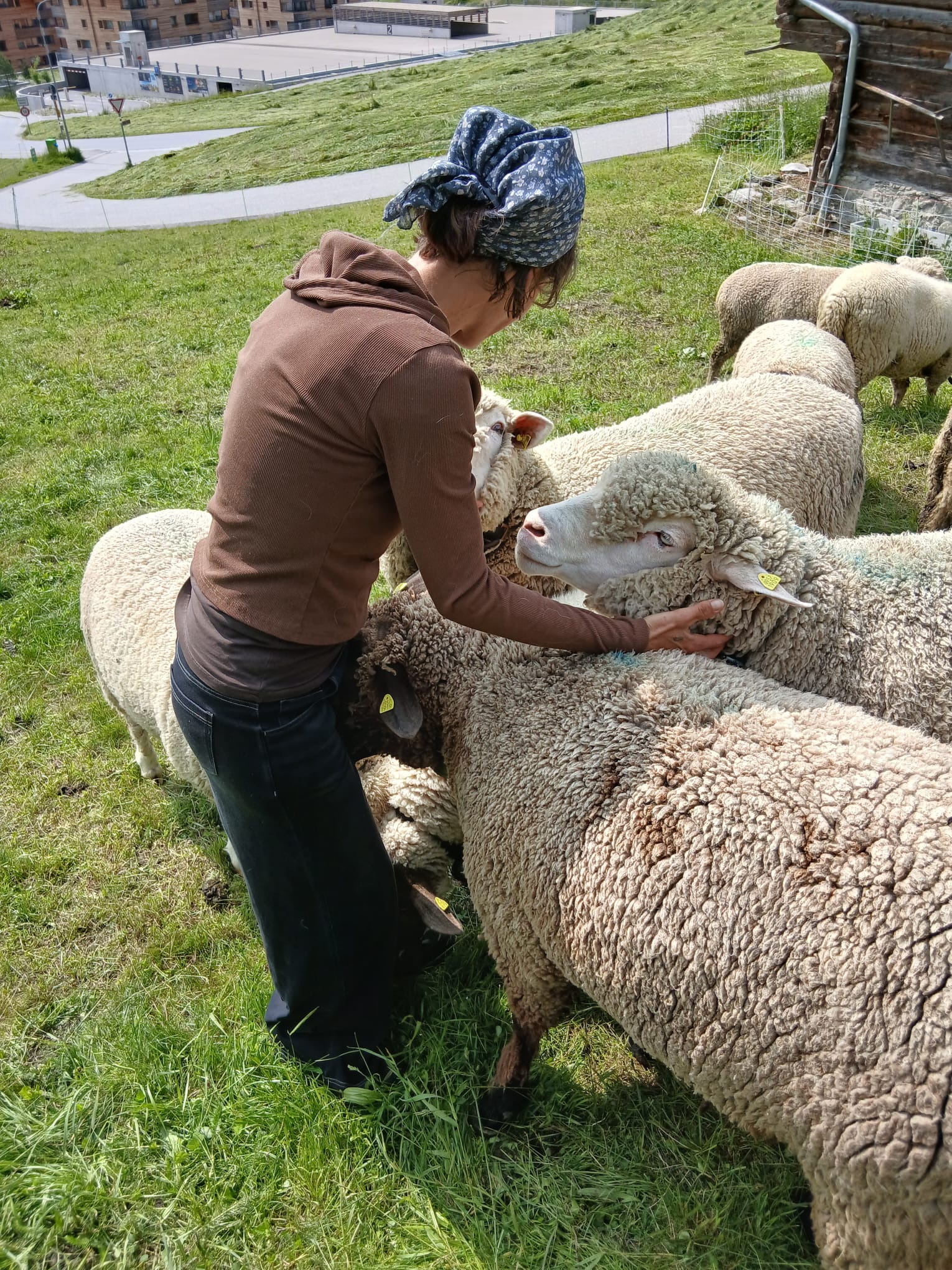 mys-Visita alla fattoria-Besuch auf dem Bauernhof Sandra Flepp