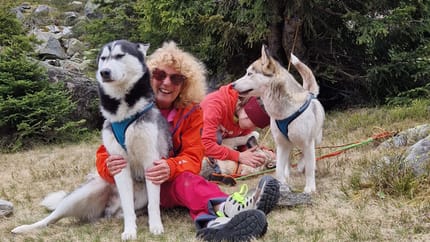 mys-Husky Tag-Husky Tag