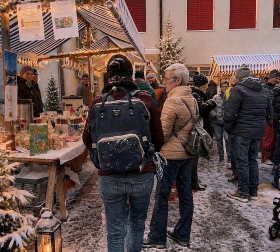 Mercatino di Natale di Disentis
