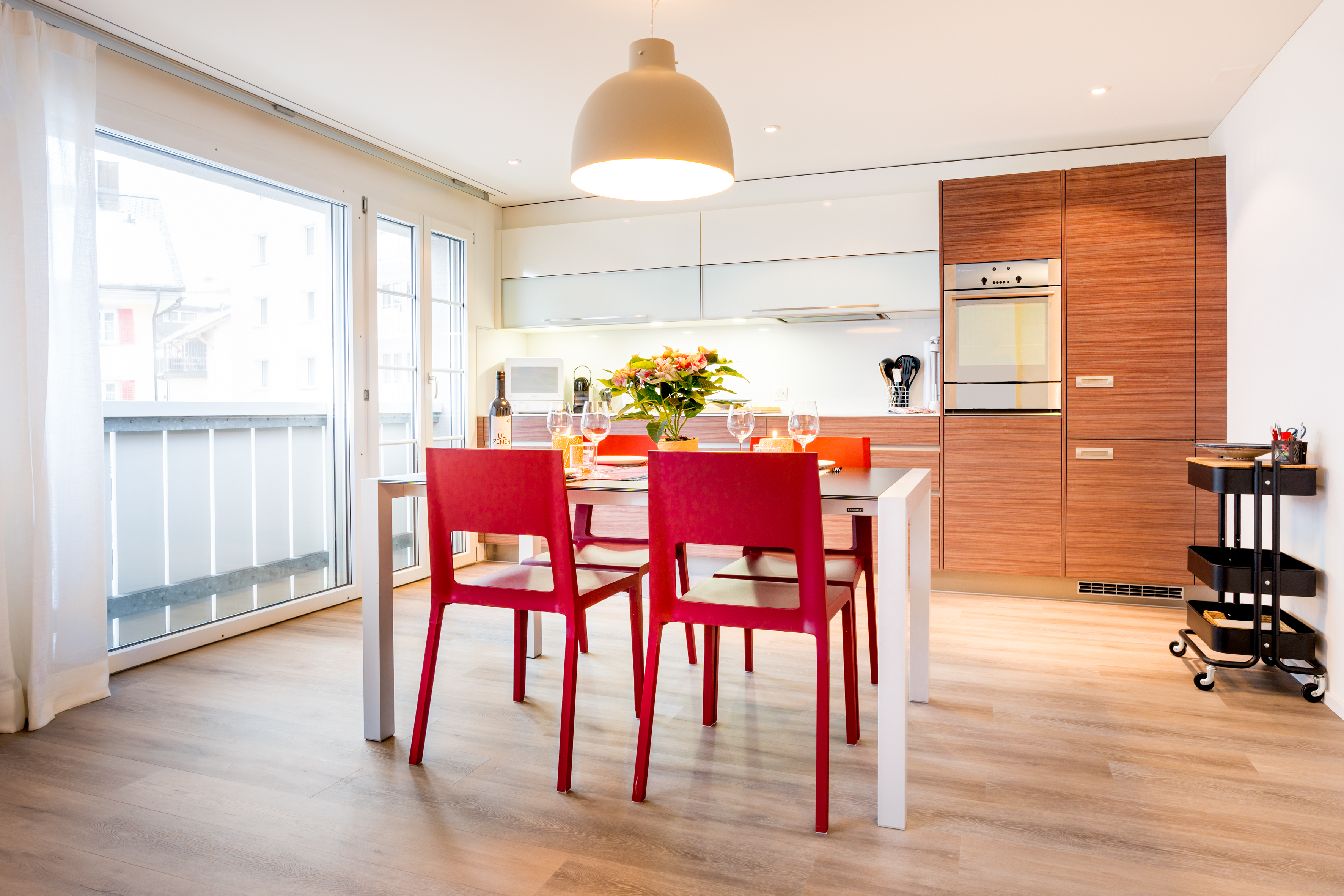 mys-Marmotta-Marmotta