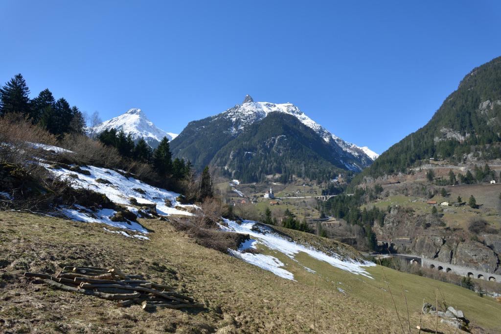 Meiggelenstock