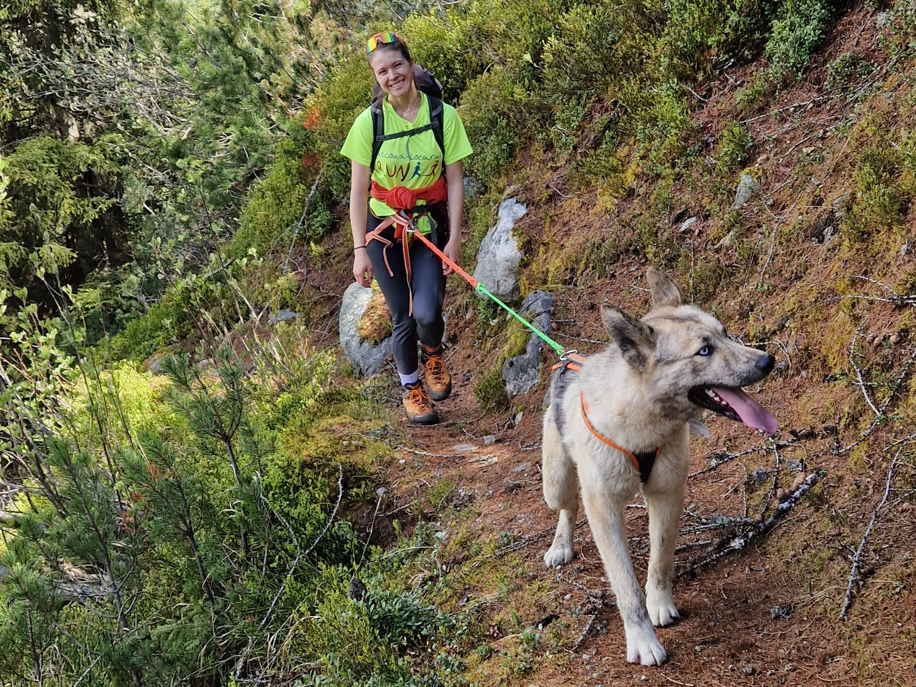 mys-Day Hike with Huskies-Tages Wanderung mit Huskys