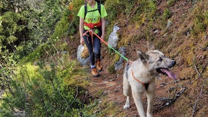 mys-Day Hike with Huskies-Tages Wanderung mit Huskys