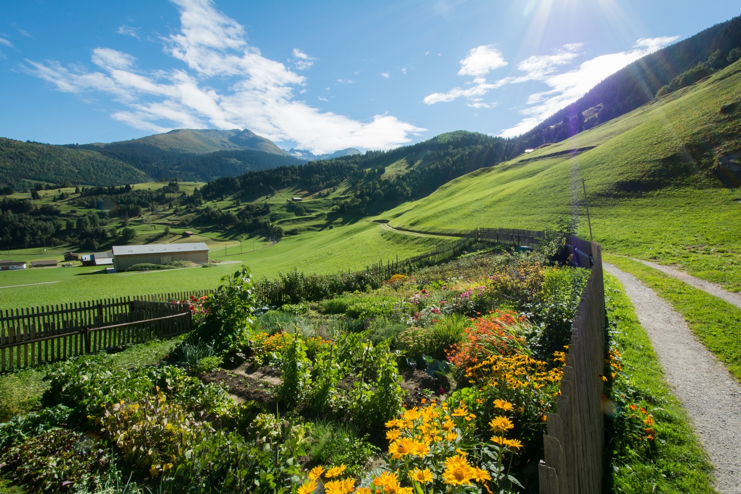 43.18  Disentis - Sedrun, Jakobsweg Graubünden