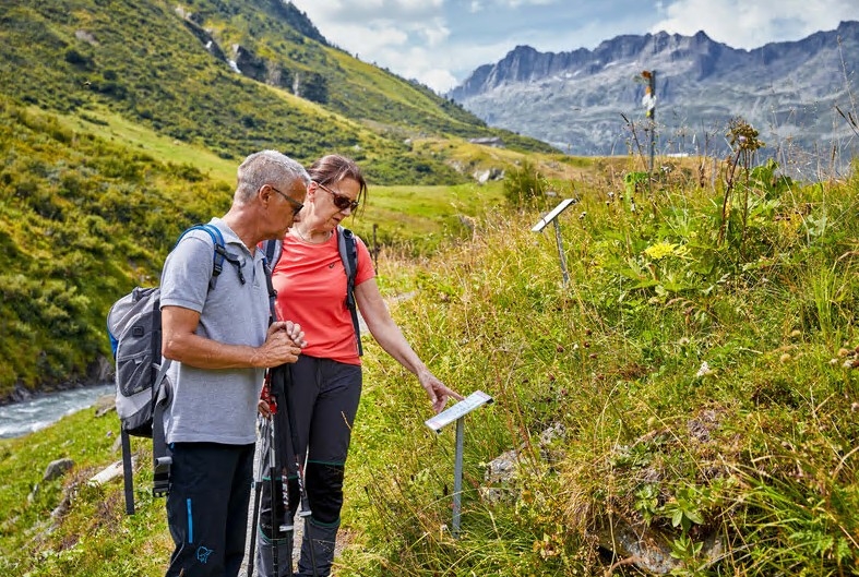 Herbal indulgence in the Ursern Valley