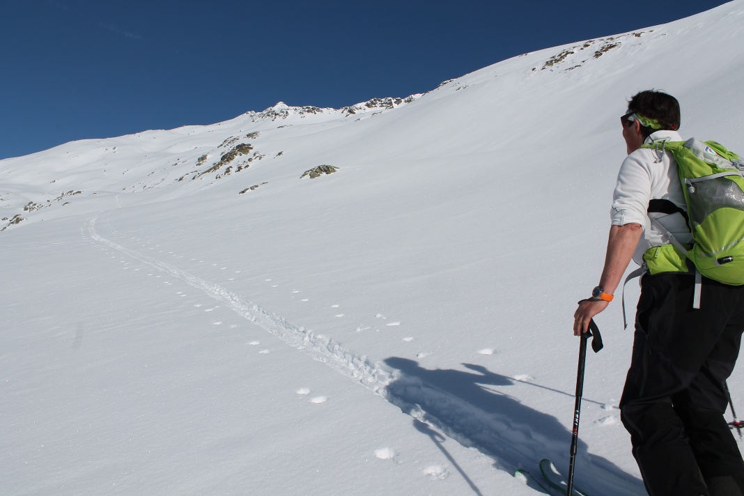 Piz Rondadura
