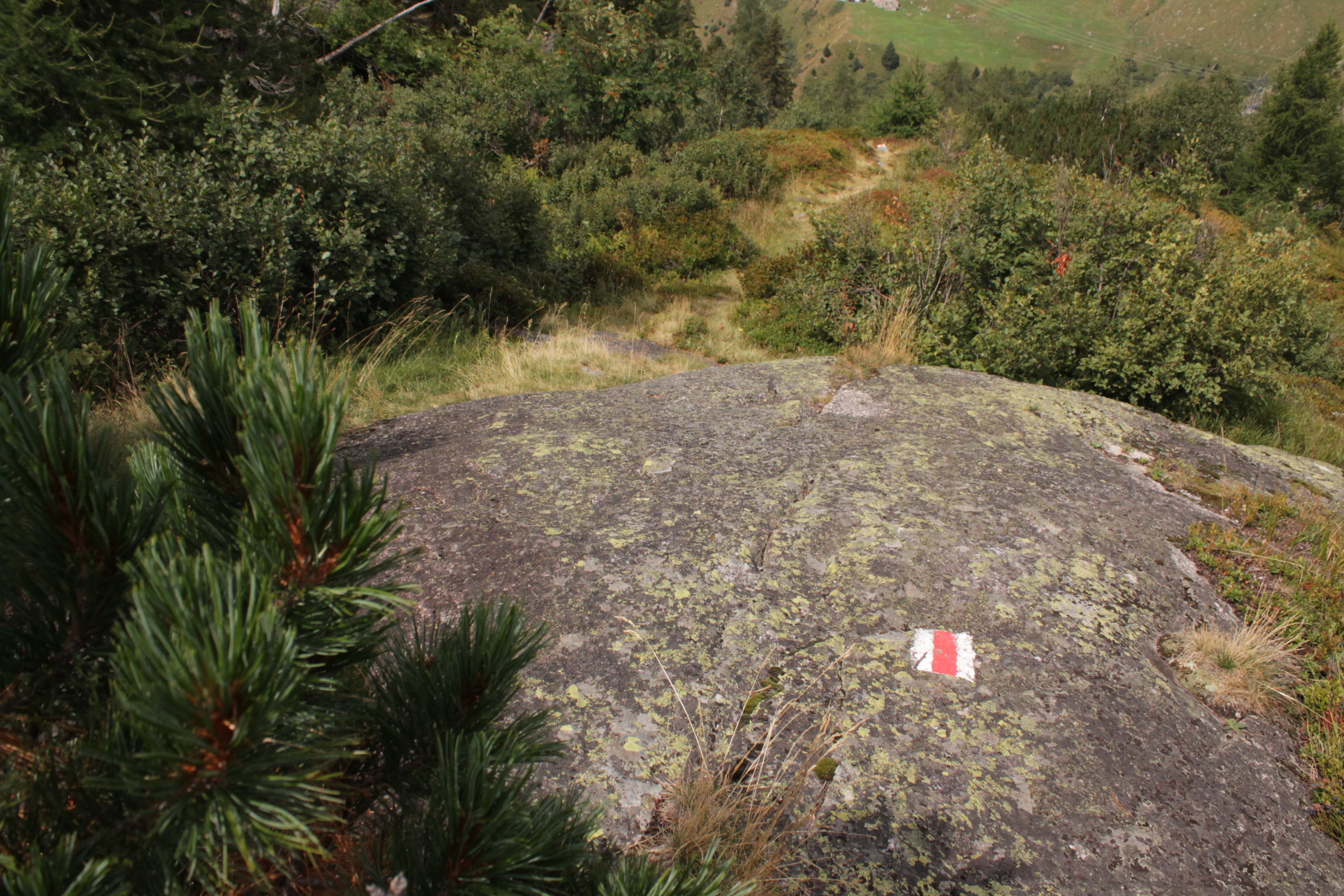 Natur Pur im Val Medel