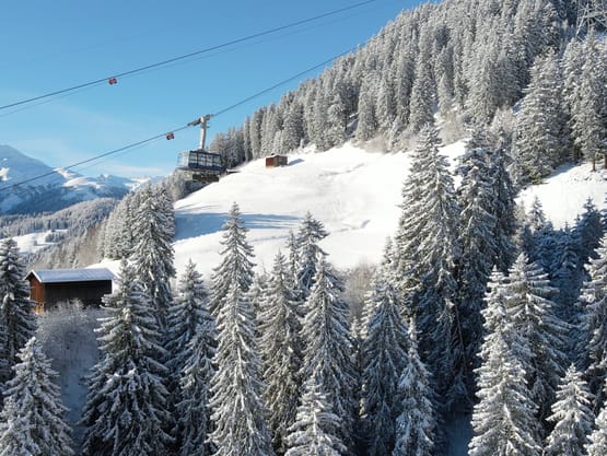 Disentis Winter Disentis